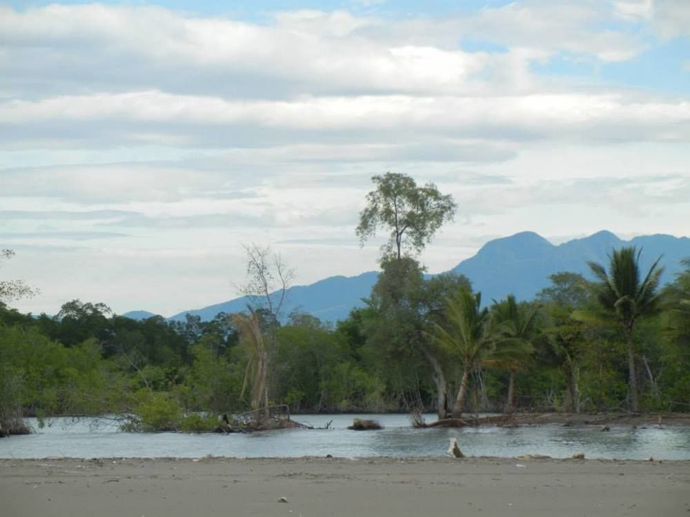 Eco-Hotel Playa Quilombo Las Lisas エクステリア 写真