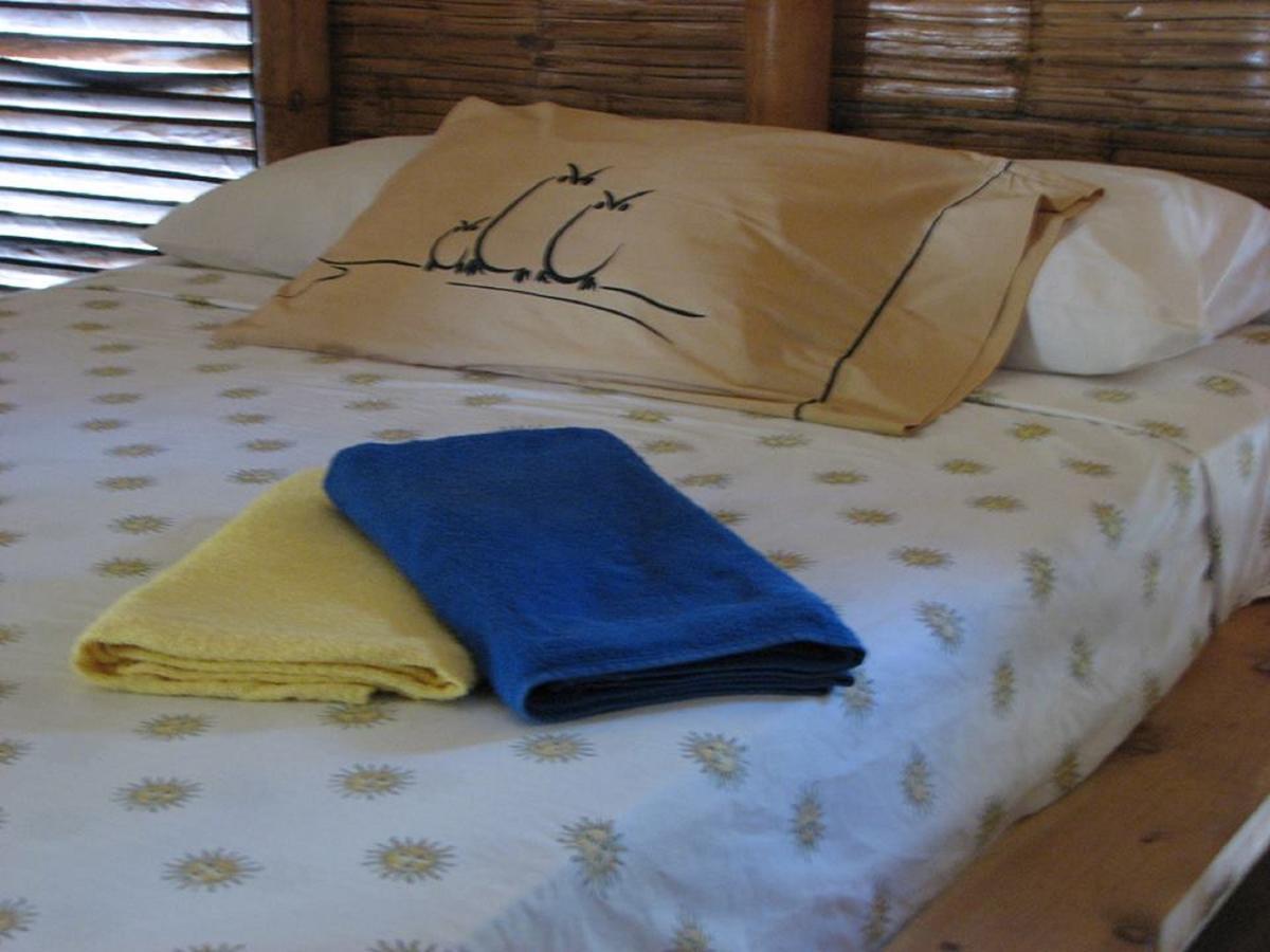 Eco-Hotel Playa Quilombo Las Lisas エクステリア 写真