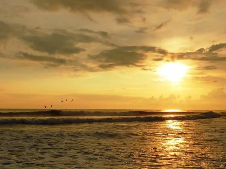 Eco-Hotel Playa Quilombo Las Lisas エクステリア 写真