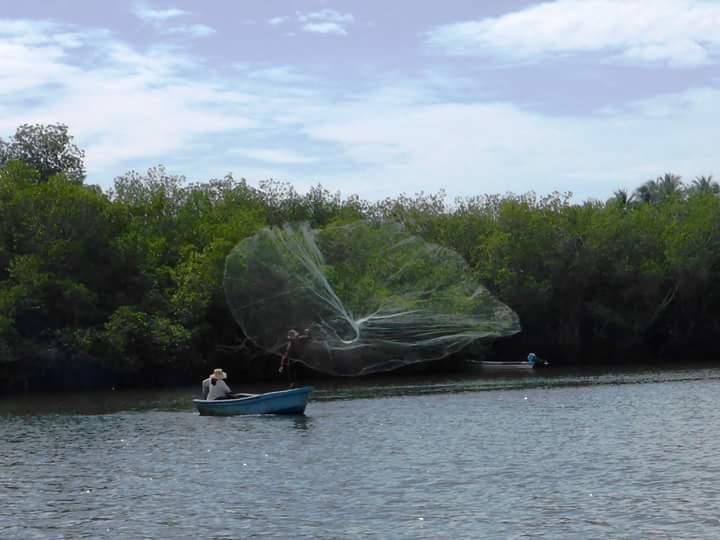 Eco-Hotel Playa Quilombo Las Lisas エクステリア 写真