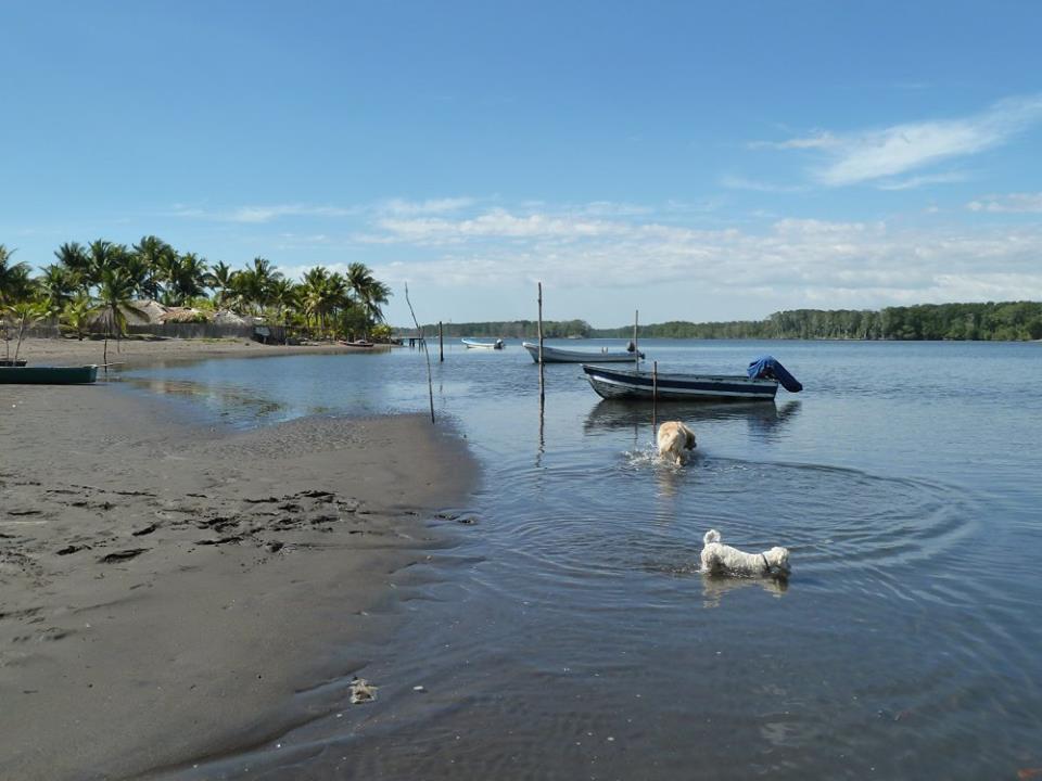 Eco-Hotel Playa Quilombo Las Lisas エクステリア 写真