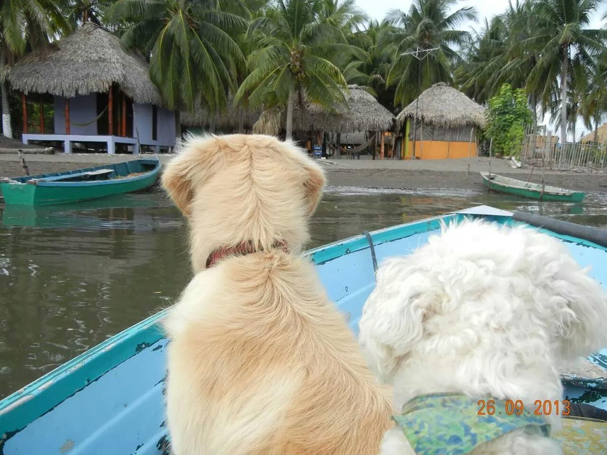 Eco-Hotel Playa Quilombo Las Lisas エクステリア 写真