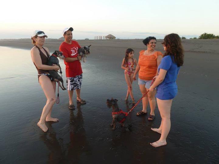 Eco-Hotel Playa Quilombo Las Lisas エクステリア 写真