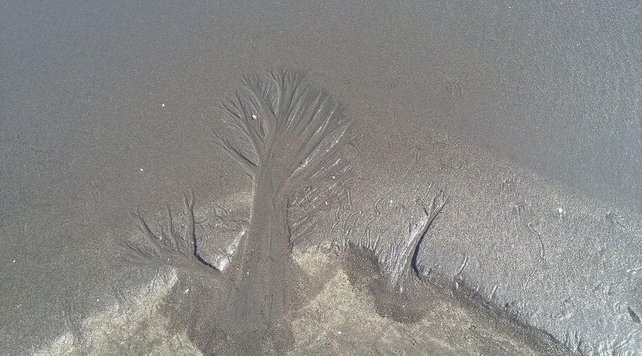 Eco-Hotel Playa Quilombo Las Lisas エクステリア 写真