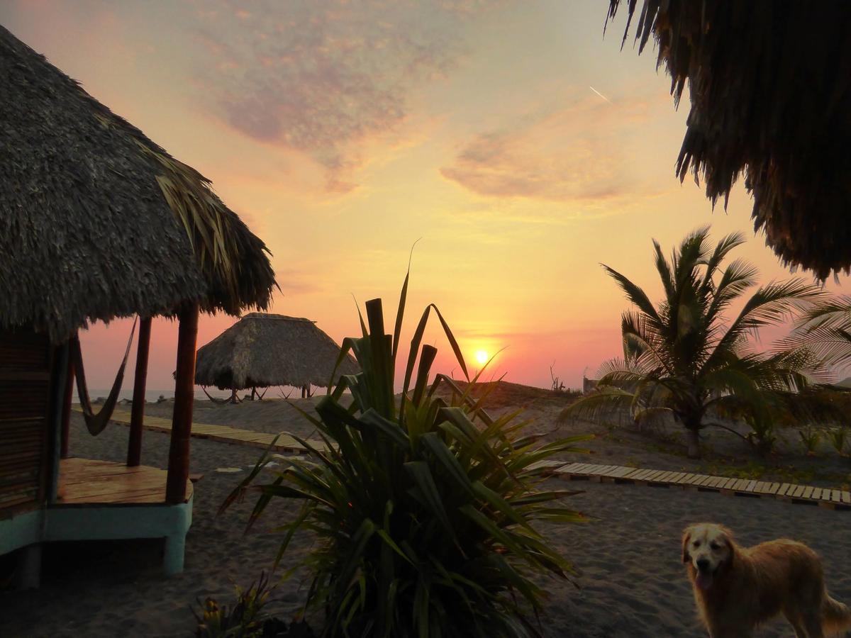 Eco-Hotel Playa Quilombo Las Lisas エクステリア 写真